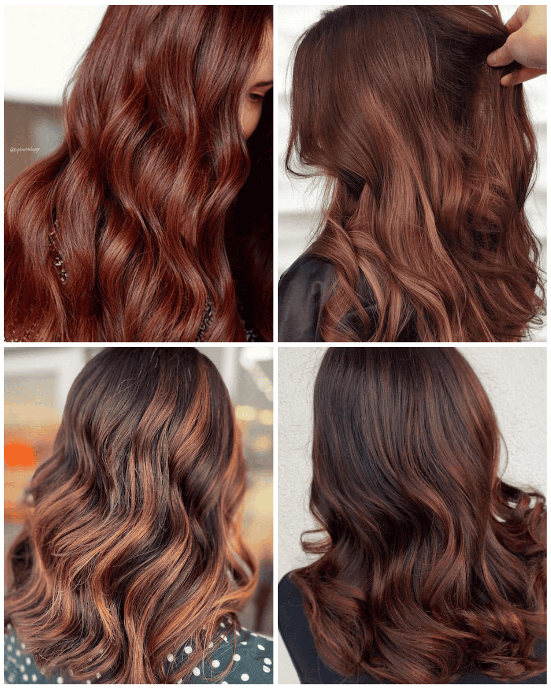 Moodboard med fire ulike auburn- og rødbrune hårfarger, fra dyp rødtone til varm kastanje og kobberbalayage